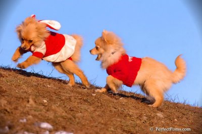 Jan24_08_348.JPG