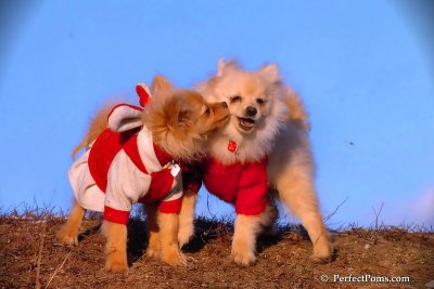 Jan24_08_353.jpg