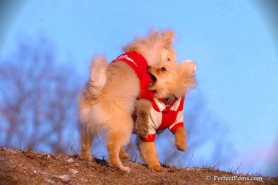 Jan24_08_377.jpg