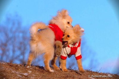 Jan24_08_378.jpg