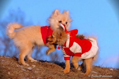Jan24_08_380.jpg