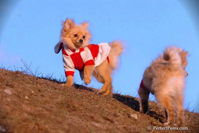 Jan24_08_382.jpg