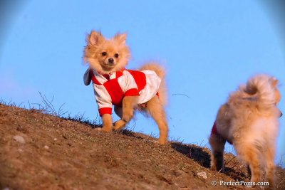 Jan24_08_383.jpg
