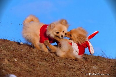 Jan24_08_386.jpg