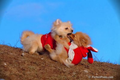 Jan24_08_387.jpg