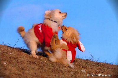 Jan24_08_388.jpg