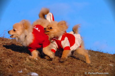 Jan24_08_389.jpg