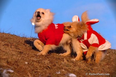 Jan24_08_390.jpg