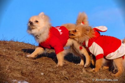 Jan24_08_391.jpg