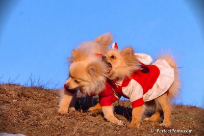 Jan24_08_394.jpg