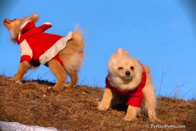 Jan24_08_399.jpg