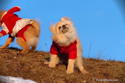 Jan24_08_401.jpg