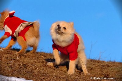 Jan24_08_402.jpg