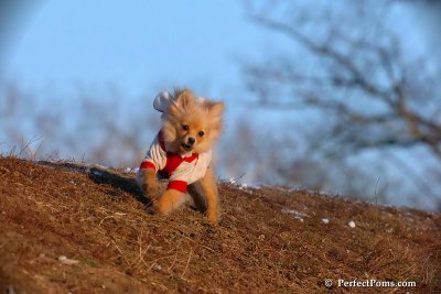 Jan24_08_409.jpg