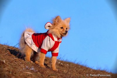 Jan24_08_417.jpg