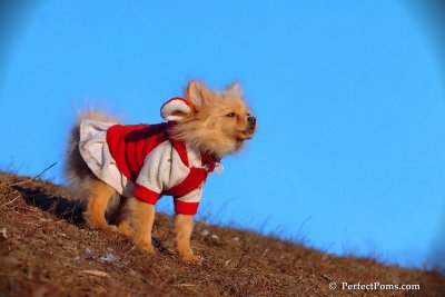Jan24_08_418.jpg