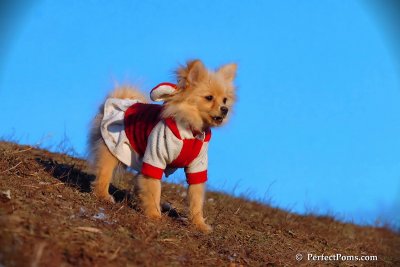 Jan24_08_419.jpg