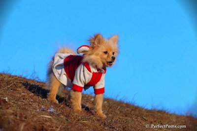 Jan24_08_420.jpg
