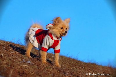 Jan24_08_421.jpg