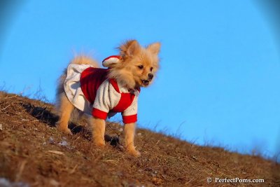 Jan24_08_422.jpg