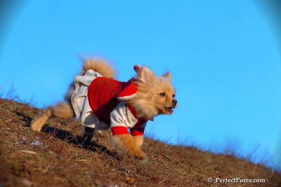 Jan24_08_423.jpg