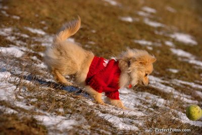 Jan24_08_139.jpg