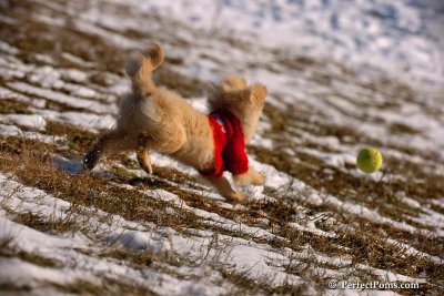 Jan24_08_146.jpg