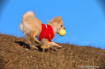 Jan24_08_158.JPG