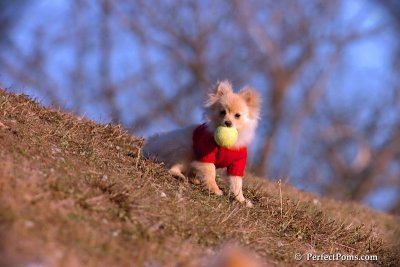 Jan24_08_160.jpg