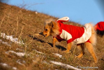 Jan24_08_161.jpg