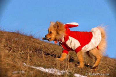 Jan24_08_163.jpg