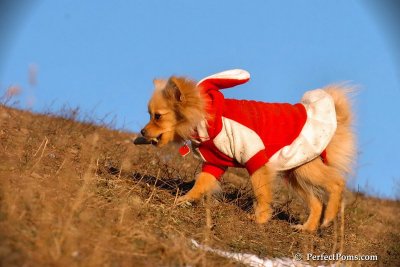 Jan24_08_164.jpg