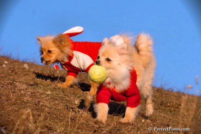 Jan24_08_165.jpg