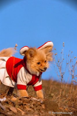 Jan24_08_180.JPG