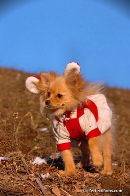 Jan24_08_192.JPG