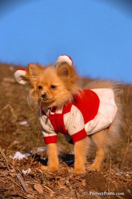 Jan24_08_200.JPG
