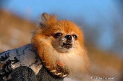 Jan24_08_217.JPG
