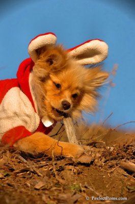 Jan24_08_228.JPG