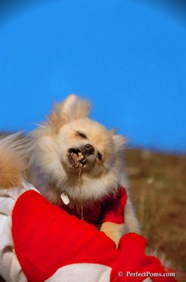 Jan24_08_243.JPG