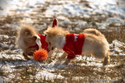 Jan24_08_248.jpg