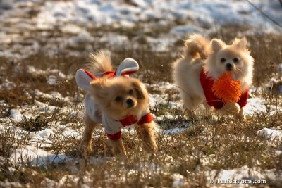 Jan24_08_249.jpg
