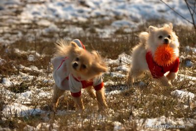 Jan24_08_250.jpg