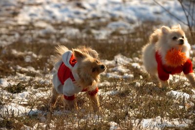 Jan24_08_251.jpg