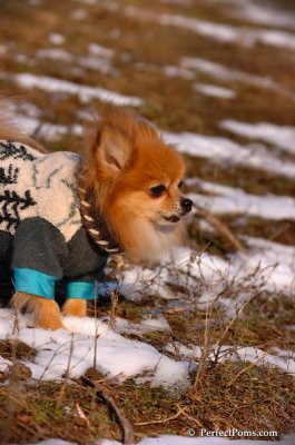 Jan24_08_265.JPG