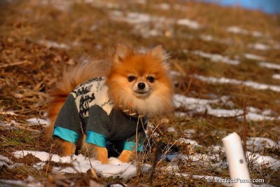 Jan24_08_272.jpg