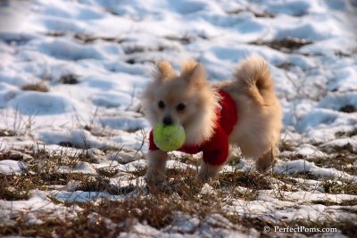 Jan24_08_273.jpg