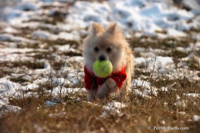 Jan24_08_274.jpg