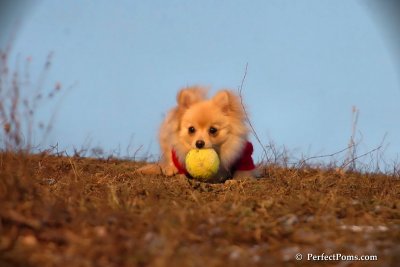Jan24_08_276.jpg