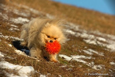 Jan24_08_049.jpg