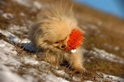 Jan24_08_056.JPG